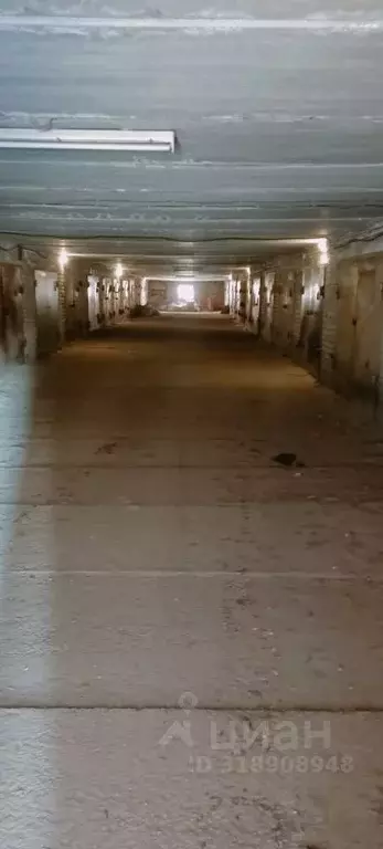 Гараж в Саратовская область, Саратов ул. Имени Н.Г. Чернышевского, ... - Фото 0