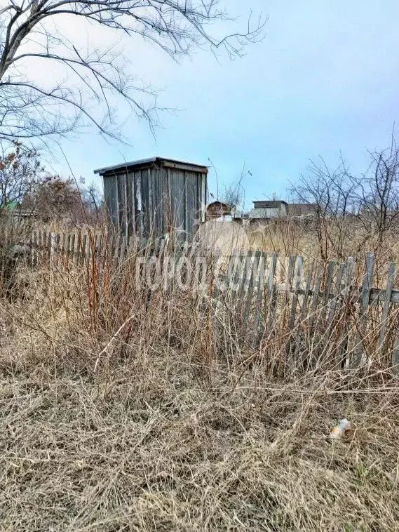 Участок в Омская область, Омский район, Дружинское с/пос, Яблонька-2 ... - Фото 0