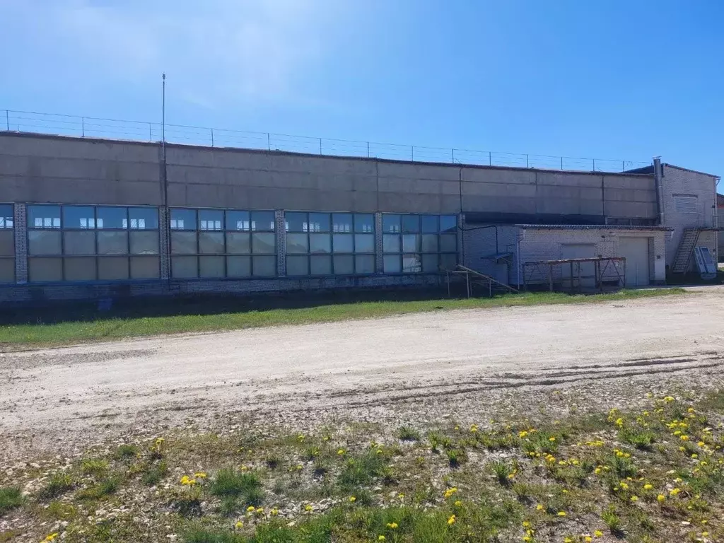 Помещение свободного назначения в Ленинградская область, Гатчинский ... - Фото 2