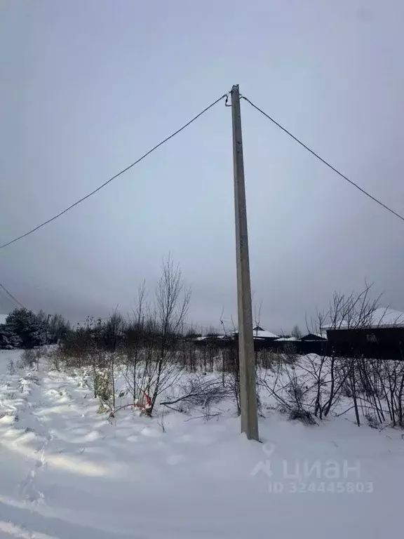 Участок в Псковская область, Псковский район, Логозовская волость, д. ... - Фото 1