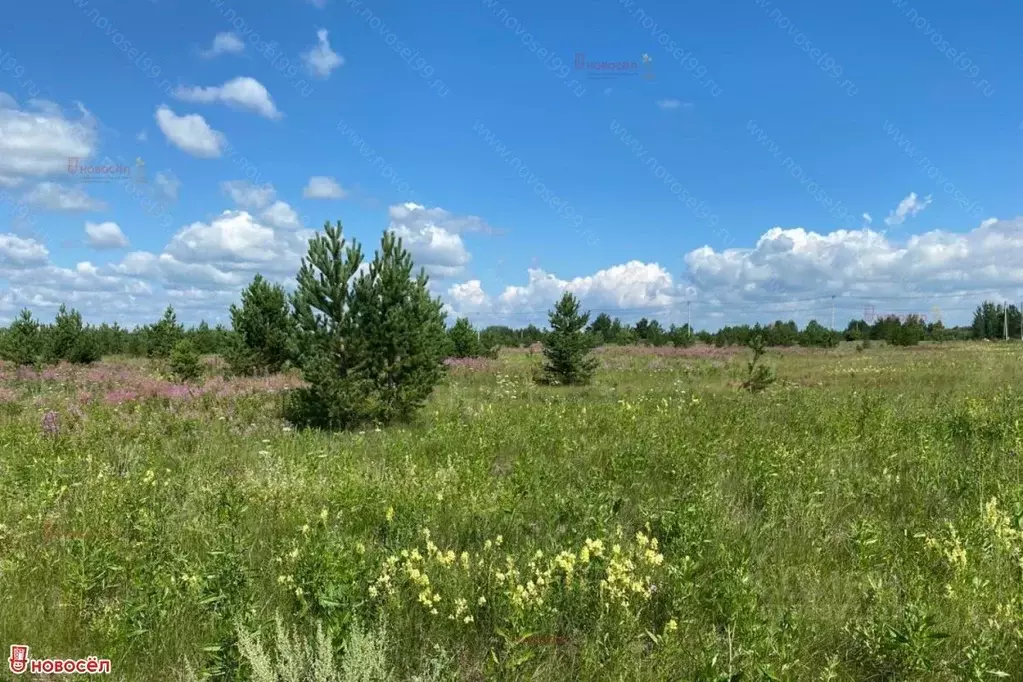 Дом в Свердловская область, Белоярский муниципальный округ, с. ... - Фото 2