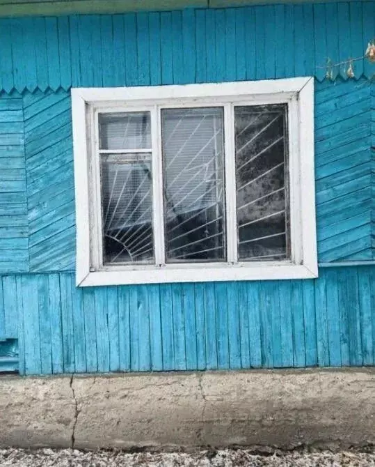 Помещение свободного назначения в Курганская область, Петуховский ... - Фото 2