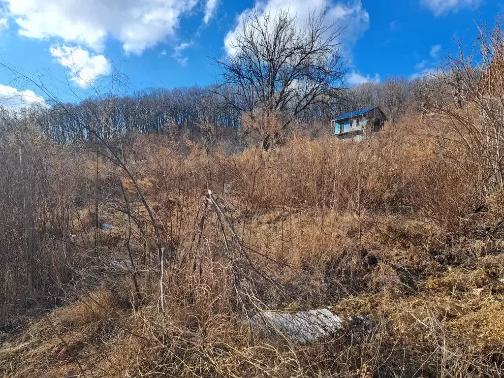 Участок в Приморский край, Партизанский муниципальный округ, Заря СОНТ ... - Фото 1