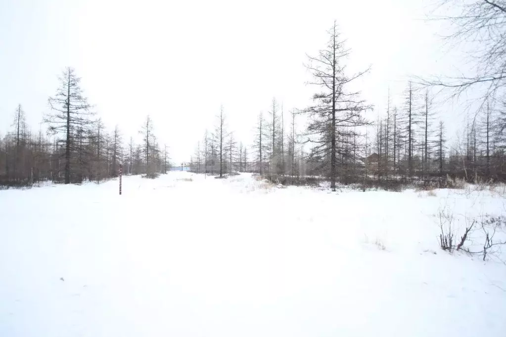 Участок в Ямало-Ненецкий АО, Новый Уренгой Дружба ТСН,  (6.0 сот.) - Фото 0