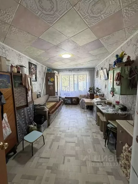 Комната Оренбургская область, Орск Новый город мкр, ул. ... - Фото 2