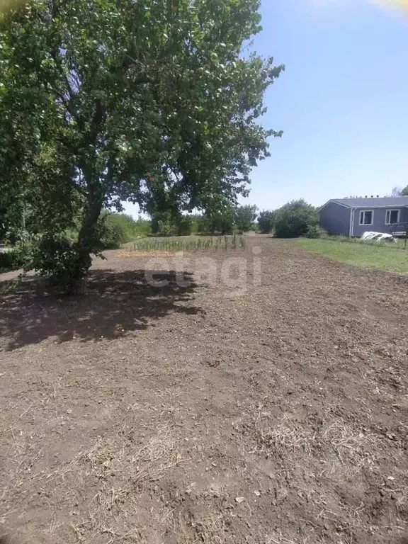 Участок в Краснодарский край, Ейский район, Кухаривское с/пос, ... - Фото 1