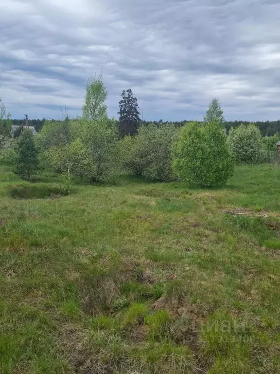 Участок в Новгородская область, Крестецкий муниципальный округ, д. ... - Фото 0