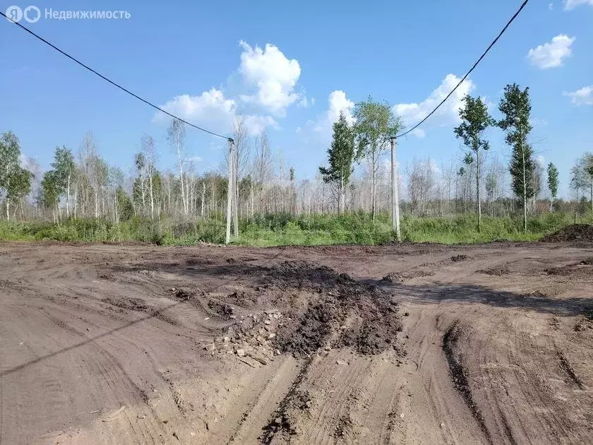 Участок в Тюменский район, посёлок городского типа Богандинский (15 м) - Фото 1