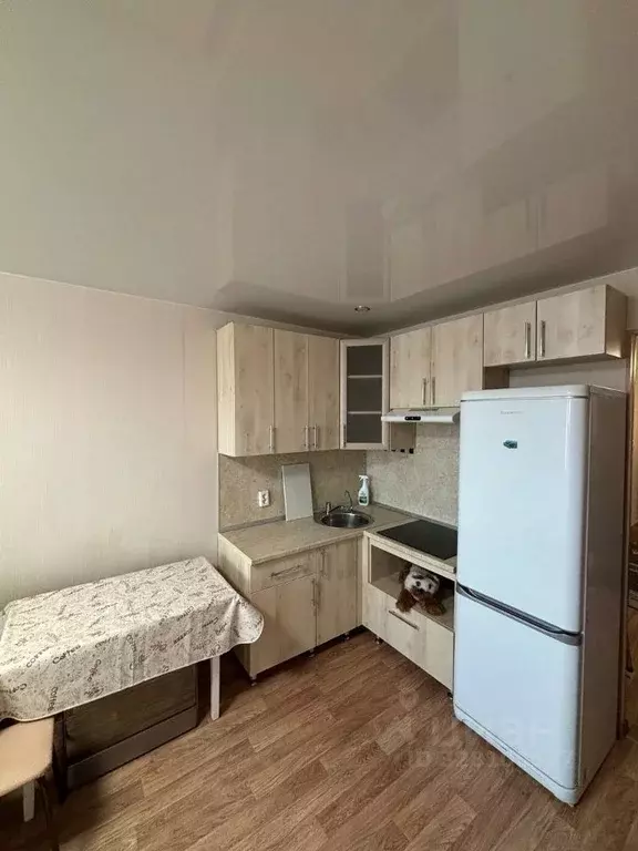 Студия Кировская область, Киров Зеленая ул., 32 (26.0 м) - Фото 2