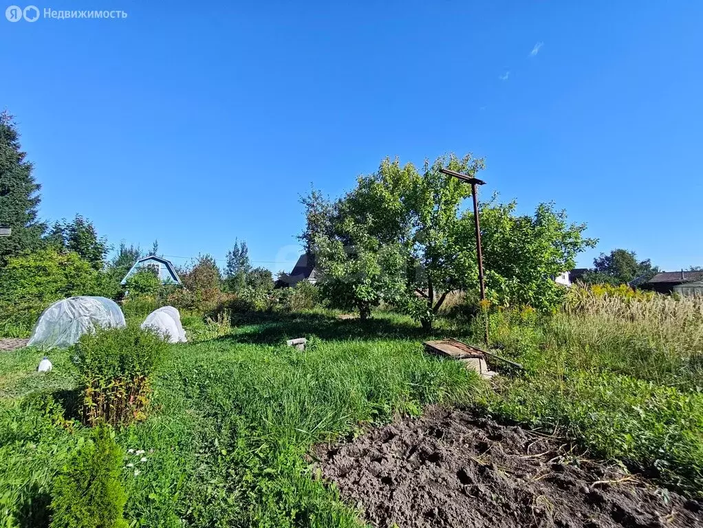 Участок в Волхов, садоводческое некоммерческое товарищество Экспресс ... - Фото 2