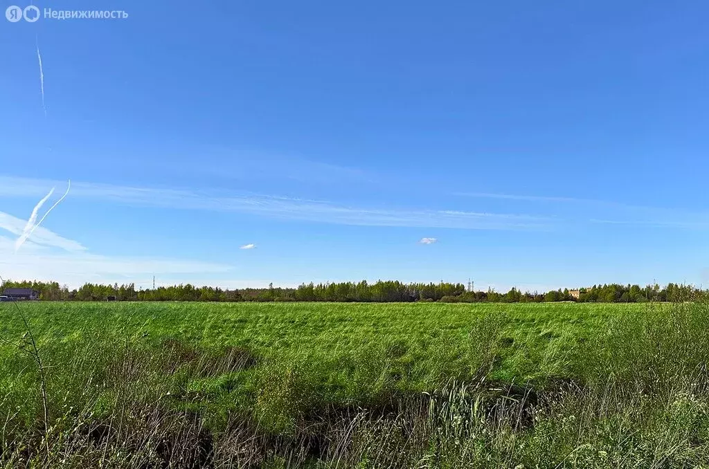 Участок в Петергоф, Ольгинское шоссе, 58к17 (10.3 м) - Фото 2