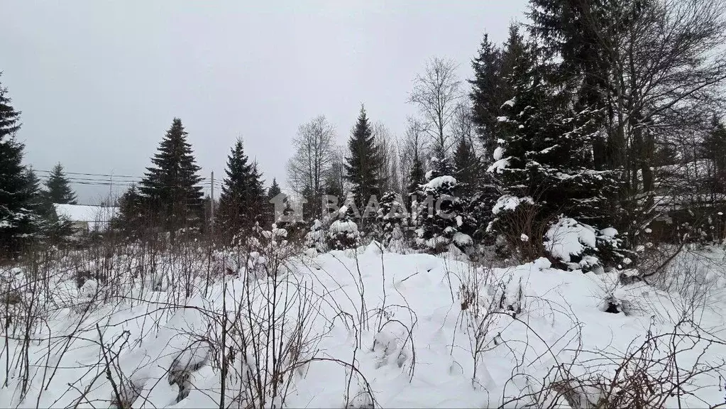 Участок в Ленинградская область, Всеволожский район, Агалатовское ... - Фото 2
