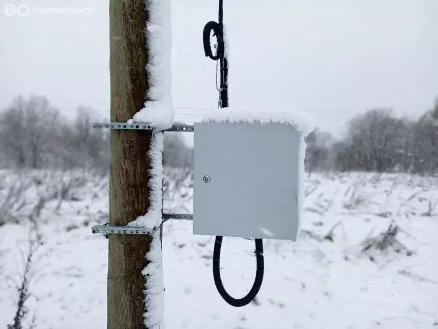 Участок в Волосовский район, Большеврудское сельское поселение, ... - Фото 1