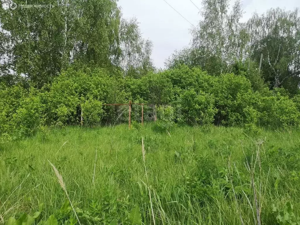 Участок в деревня Усад, улица Новая линия (12 м) - Фото 1