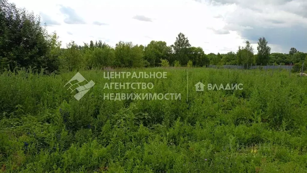 Участок в Рязанская область, Михайловский муниципальный округ, д. ... - Фото 1