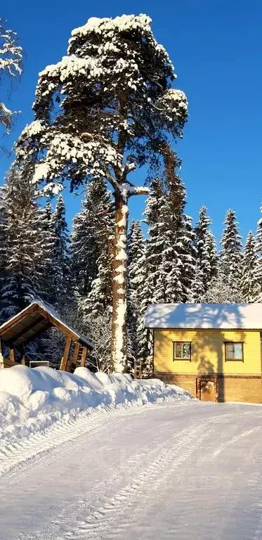 Дом в Карелия, Сортавальский муниципальный округ, пос. Раутакангас 1 ... - Фото 1