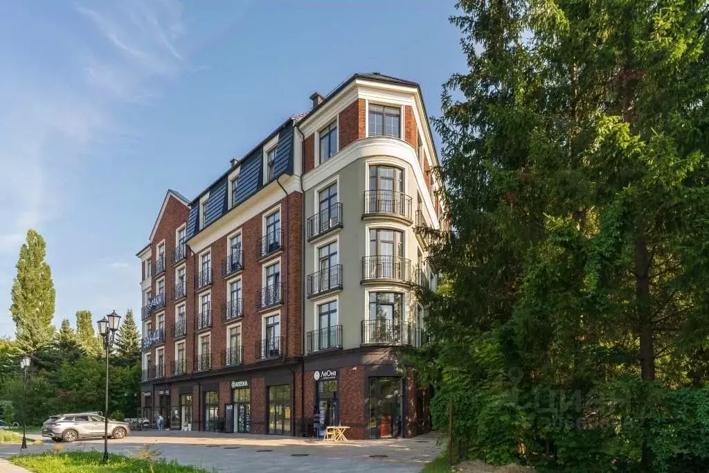 1-к кв. Калининградская область, Светлогорск Калининградский просп., ... - Фото 2