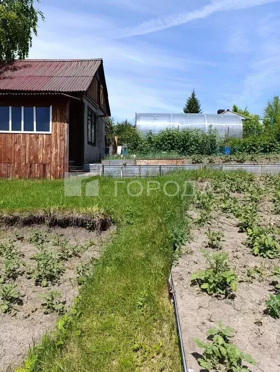 Дом в Алтайский край, Барнаул городской округ, пос. Плодопитомник, ... - Фото 0