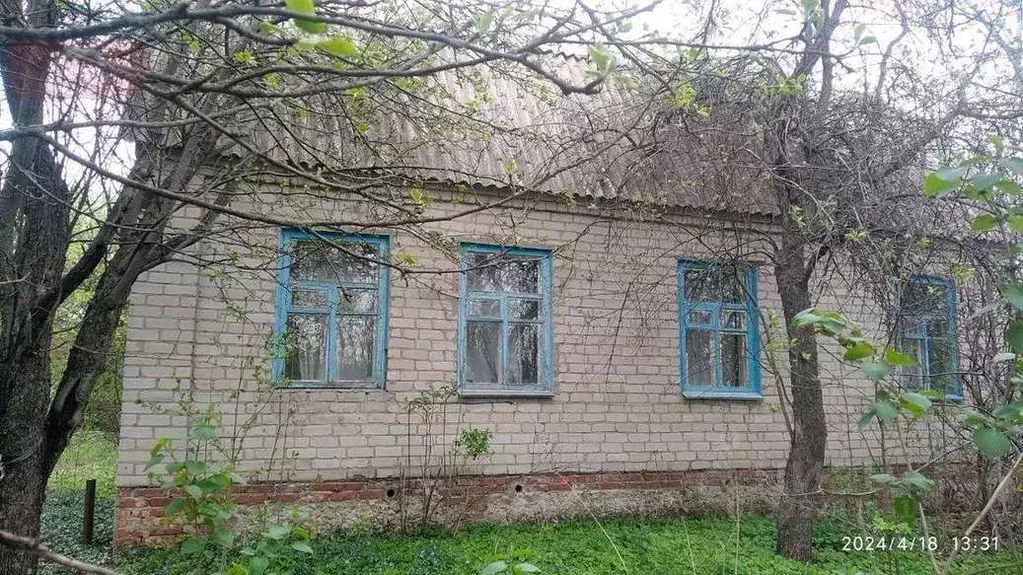 Дом в Воронежская область, Новоусманский район, Орловское с/пос, с. ... - Фото 2