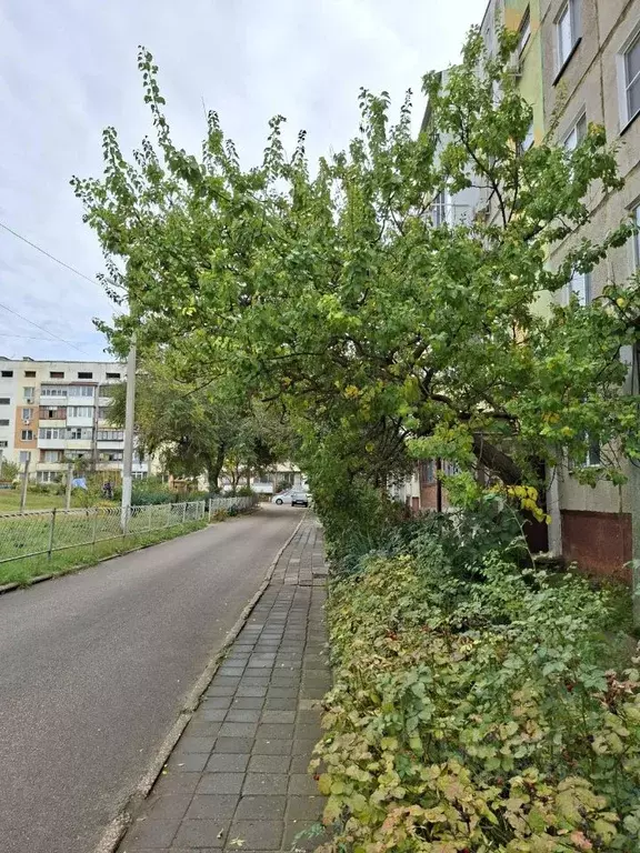 2-к кв. Крым, Керчь ул. Буденного, 3 (50.2 м) - Фото 2