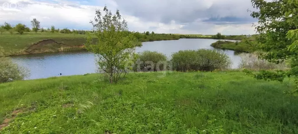 Участок в Рамонский район, Русскогвоздёвское сельское поселение, село ... - Фото 1