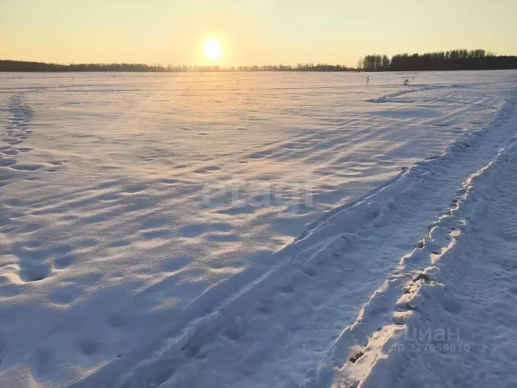 Участок в Челябинская область, Аргаяшский муниципальный округ, д. ... - Фото 1