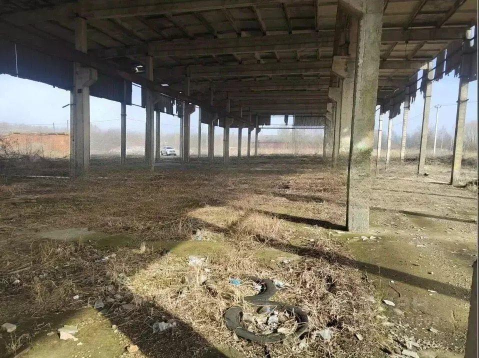 Производственное помещение в Московская область, Коломна городской ... - Фото 2