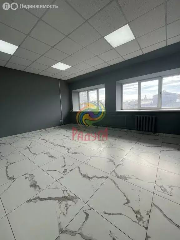 Офис (43.8 м) - Фото 2