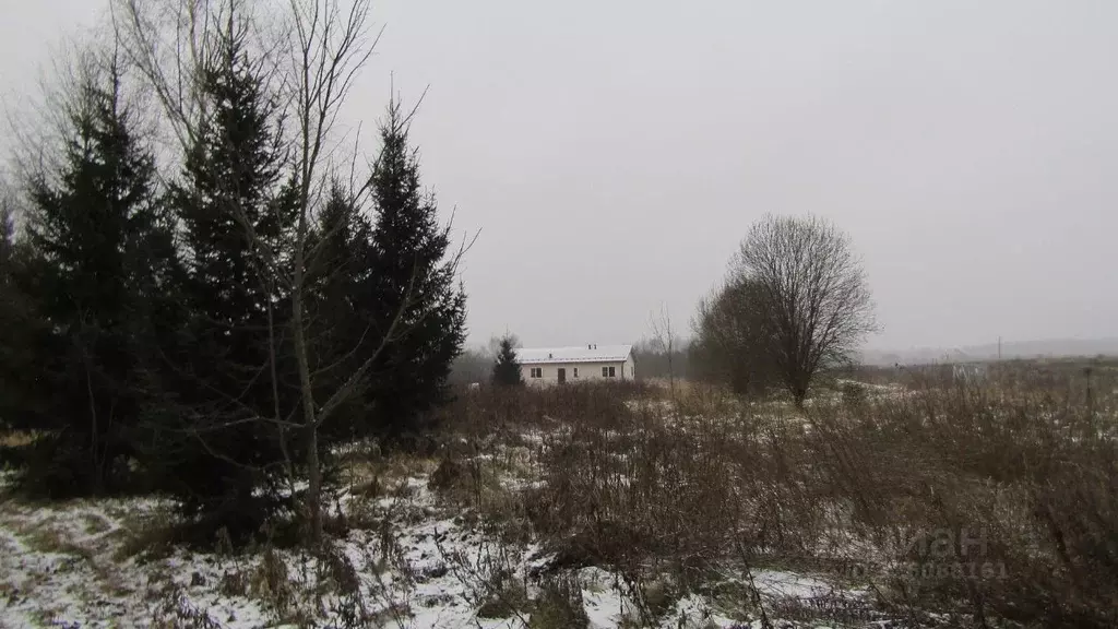 Участок в Московская область, Рузский муниципальный округ, д. ... - Фото 1