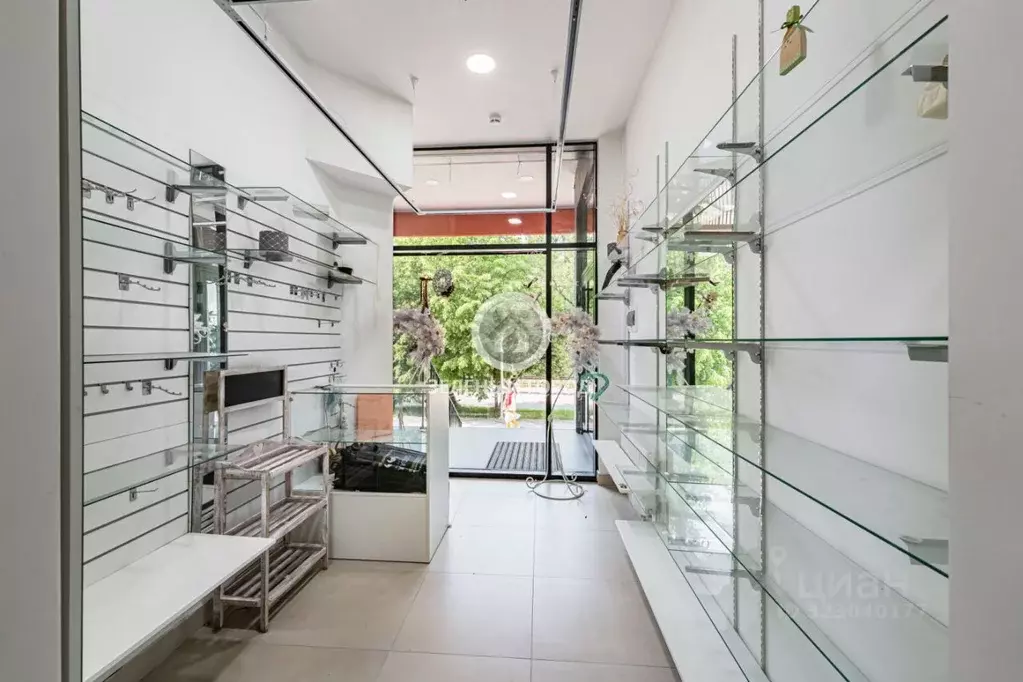 Торговая площадь в Калининградская область, Светлогорск ул. Ленина, 52 ... - Фото 1