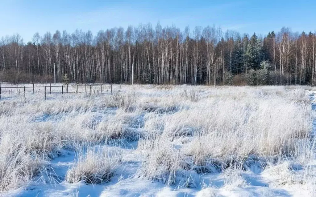 Участок в Московская область, Дубна ул. Земляничная (10.0 сот.) - Фото 2