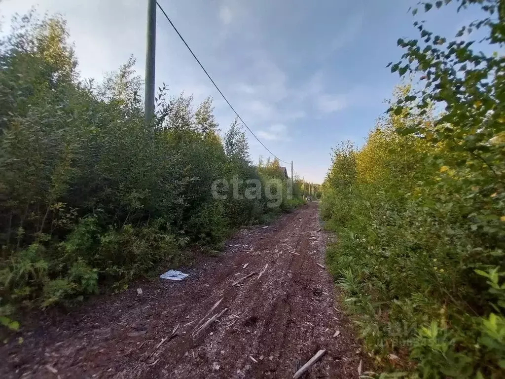 Участок в Архангельская область, Архангельск пос. Цигломень, ул. ... - Фото 1