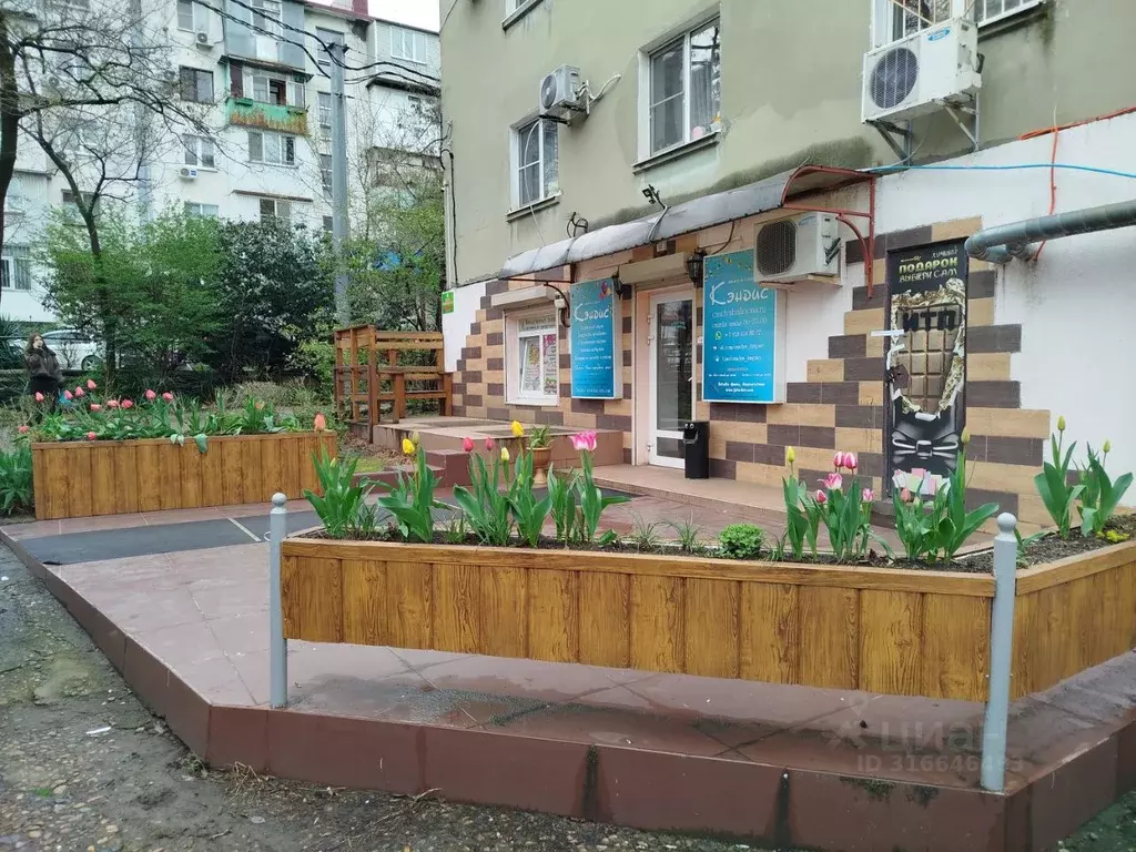 Помещение свободного назначения в Краснодарский край, Туапсе ул. ... - Фото 1