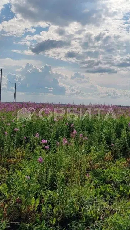 Участок в Тюменская область, Тюменский район, д. Малиновка  (5.0 сот.) - Фото 1