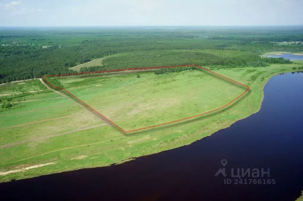 Участок в Тверская область, Старицкий район, д. Бутово  (26.4 сот.) - Фото 1