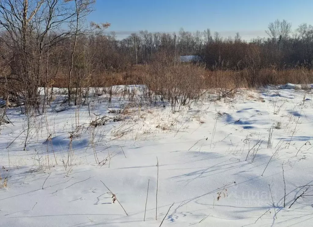 Участок в Амурская область, Благовещенск  (10.0 сот.) - Фото 0