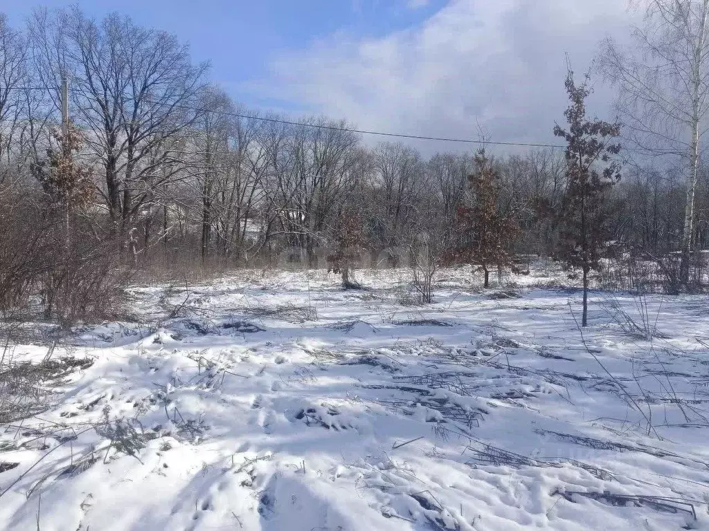 Участок в Брянская область, Брянск Родничок СНТ,  (7.7 сот.) - Фото 1