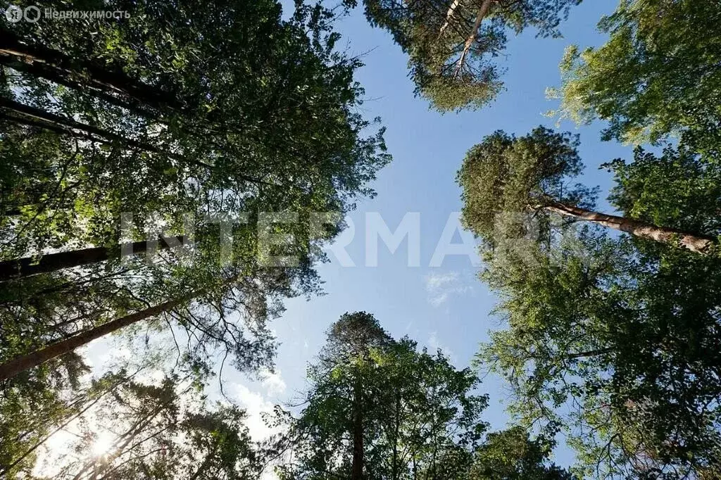 Участок в посёлок Барвиха, 31 (15 м) - Фото 0
