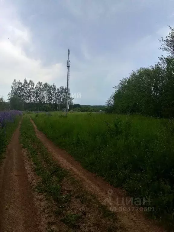 Участок в Чувашия, Чебоксарский муниципальный округ, д. Сархорн  (18.0 ... - Фото 1