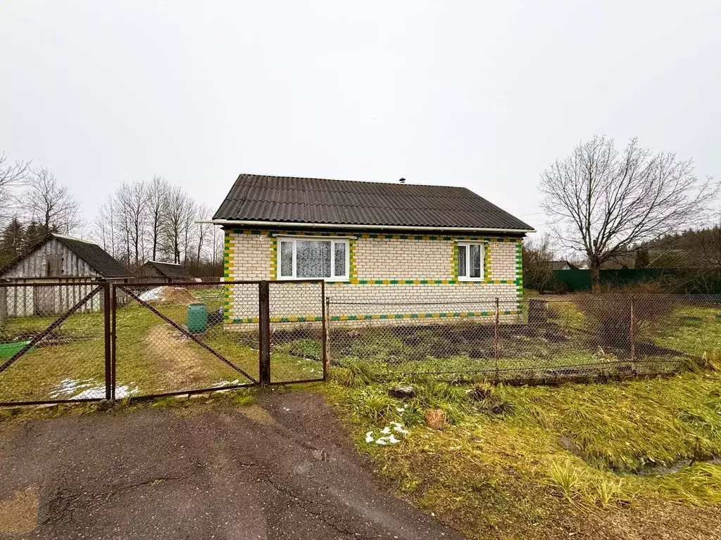 Дом в Смоленская область, с. Новодугино ул. Зеленая (64 м) - Фото 2