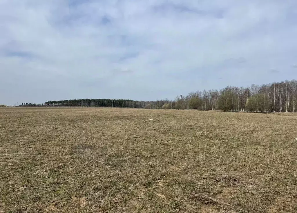 Участок в Московская область, Подольск городской округ, с. Сынково ул. ... - Фото 1