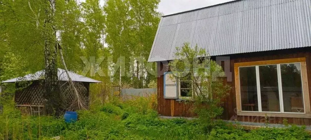 Дом в Новосибирская область, Новосибирский район, Мичуринский ... - Фото 0