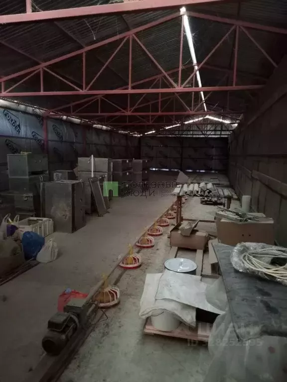 Производственное помещение в Белгородская область, Ракитное городское ... - Фото 2