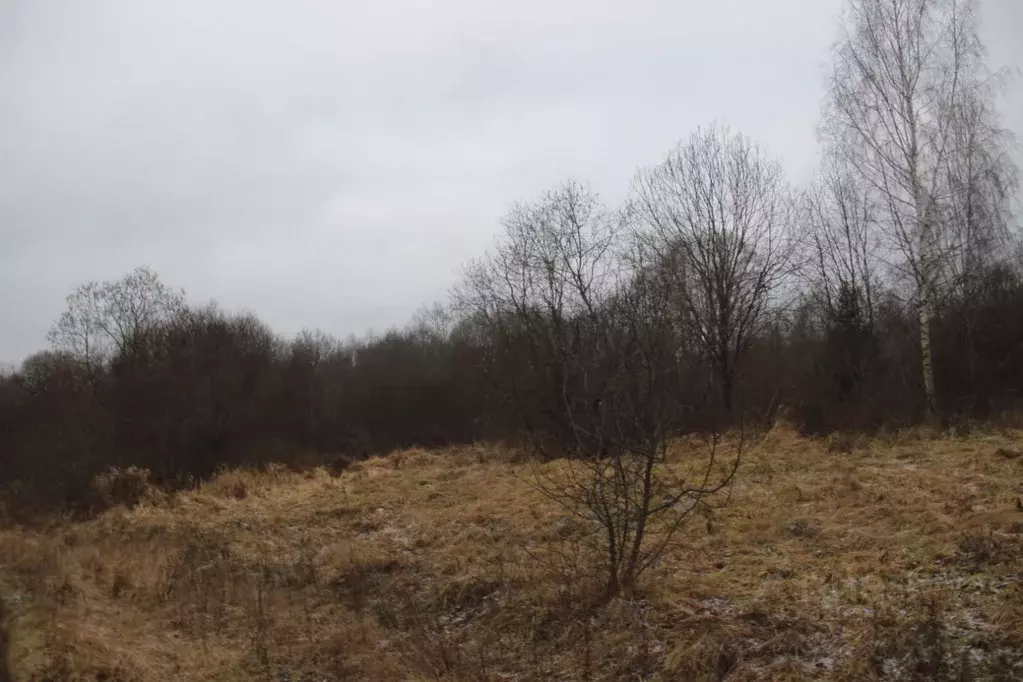 Участок в Московская область, Шаховская муниципальный округ, д. ... - Фото 1