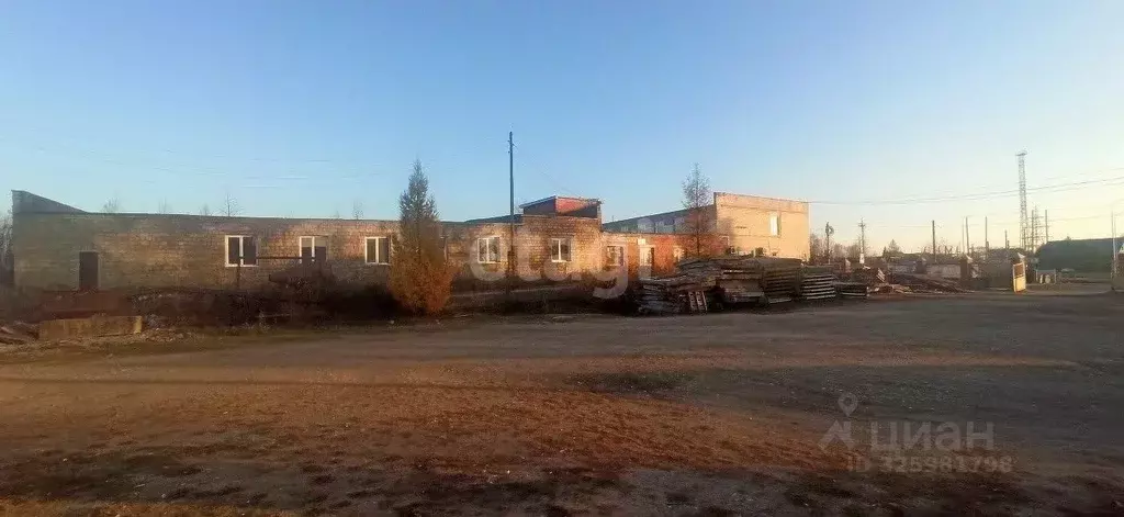 Торговая площадь в Пермский край, Ординский район, с. Орда Трактовая ... - Фото 1