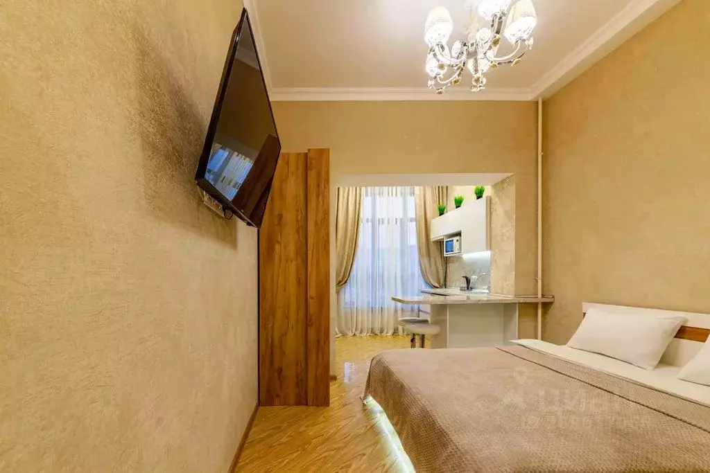 Студия Ставропольский край, Кисловодск ул. Чкалова, 75 (20.0 м) - Фото 1
