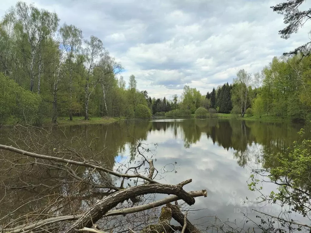 Участок в Московская область, Мытищи городской округ, пос. Вешки  ... - Фото 0