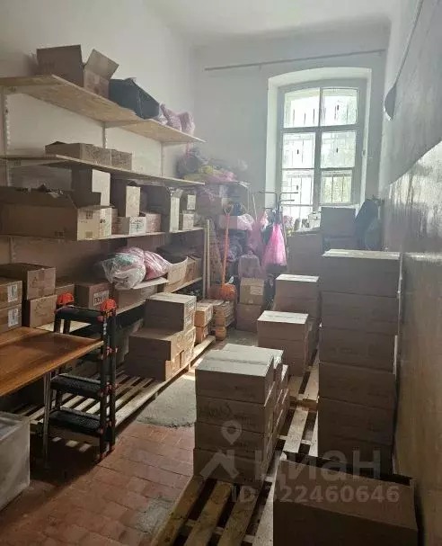 Помещение свободного назначения в Татарстан, Казань ул. Николая ... - Фото 0
