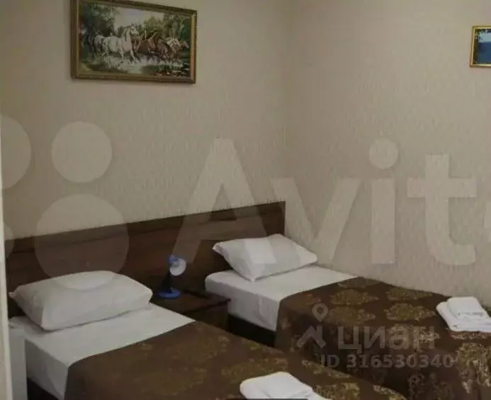 Комната Краснодарский край, Сириус пгт ул. Станиславского, 37 (18.0 м) - Фото 0