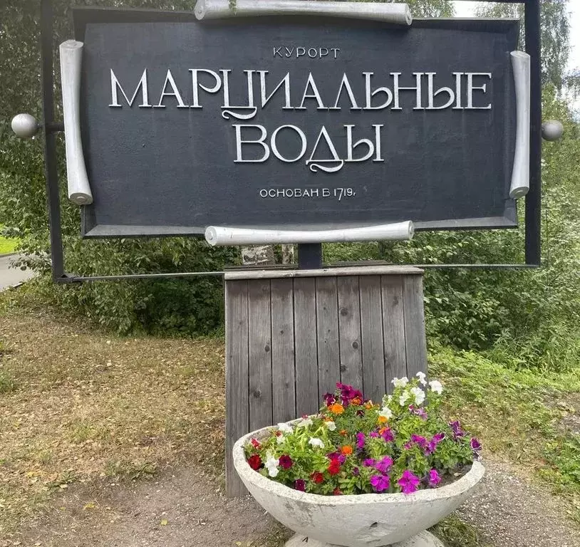 Студия Карелия, Кондопожский район, Петровское с/пос, пос. Марциальные ... - Фото 1